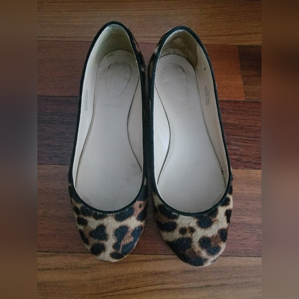 Leopard Print Flat with gold heels